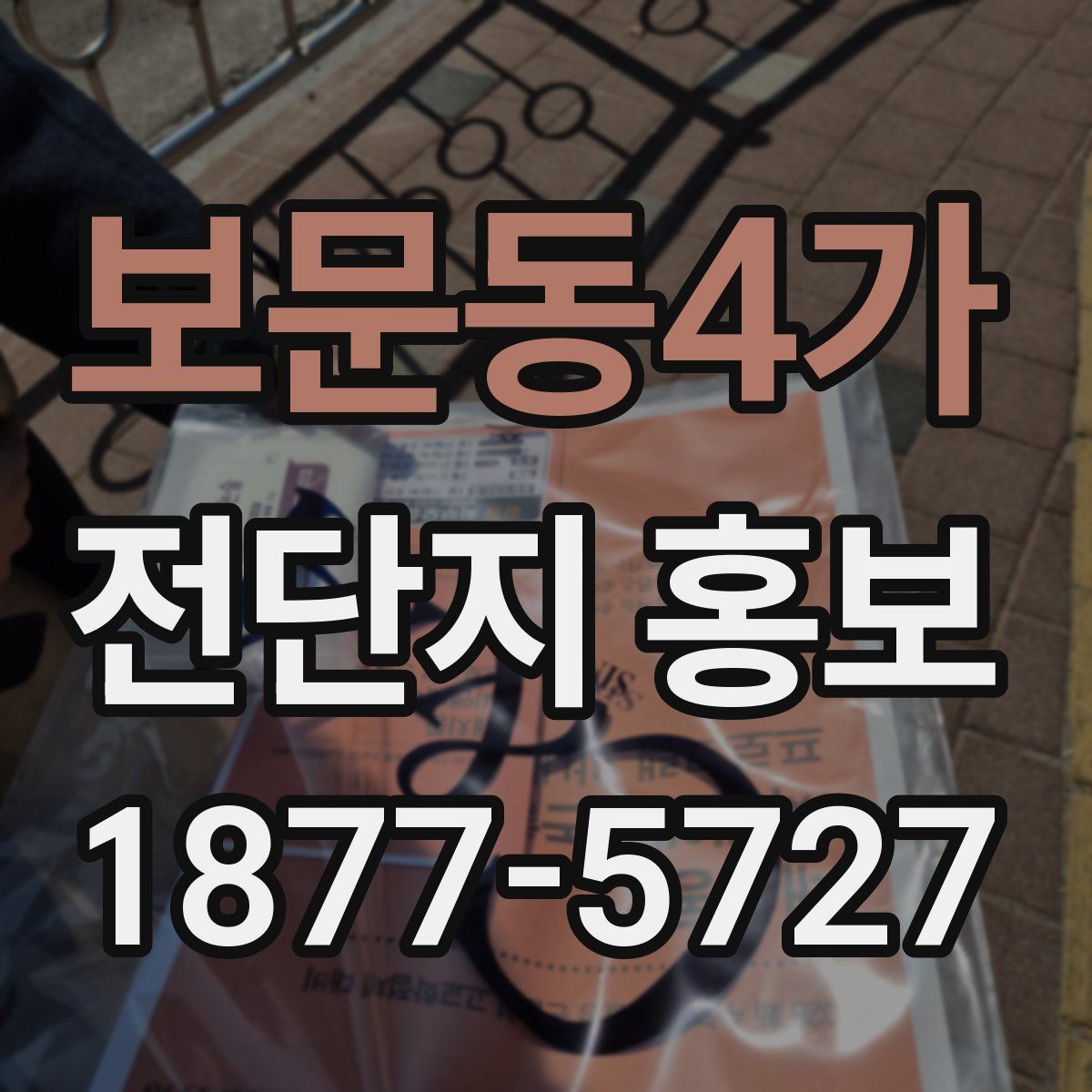 보문동4가 전단지 홍보