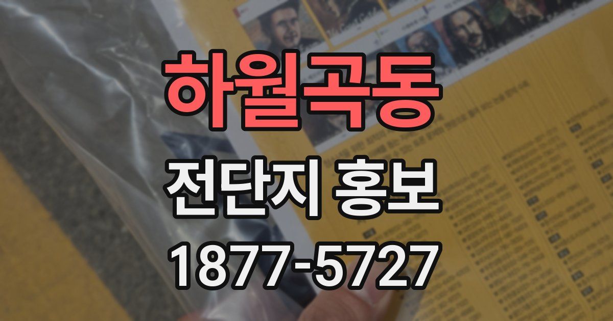 하월곡동 전단지 홍보