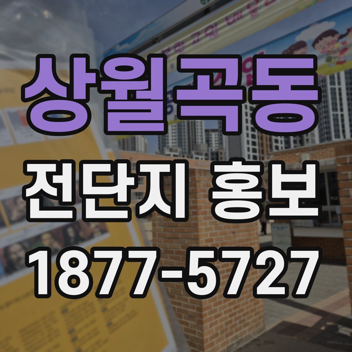 상월곡동 전단지 홍보