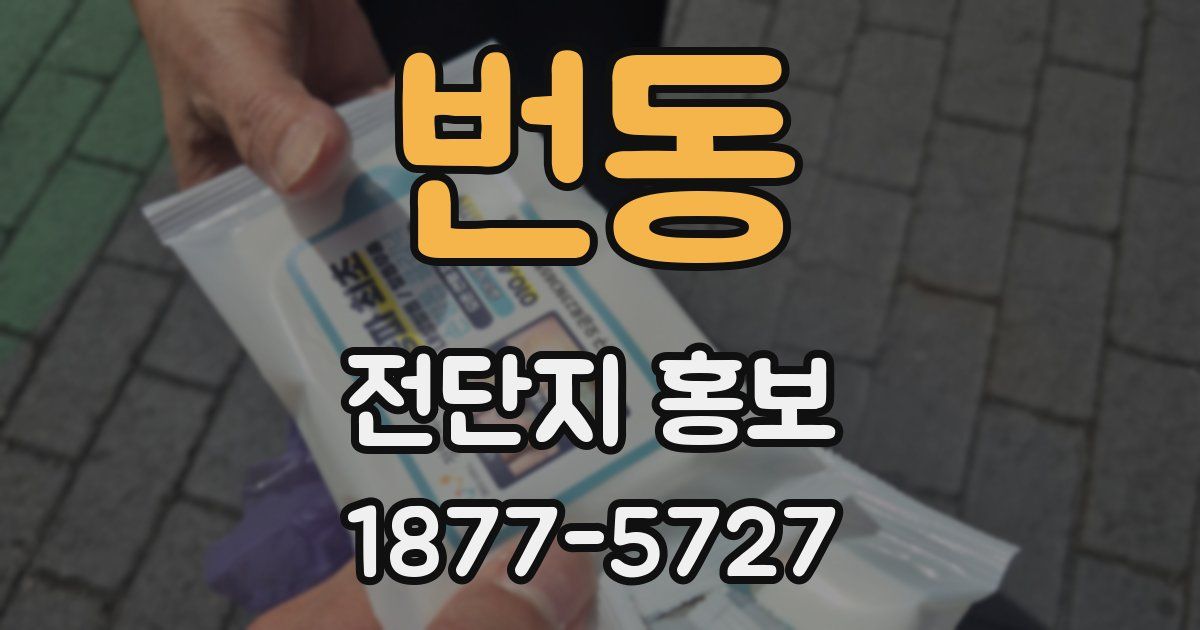 번동 전단지 홍보