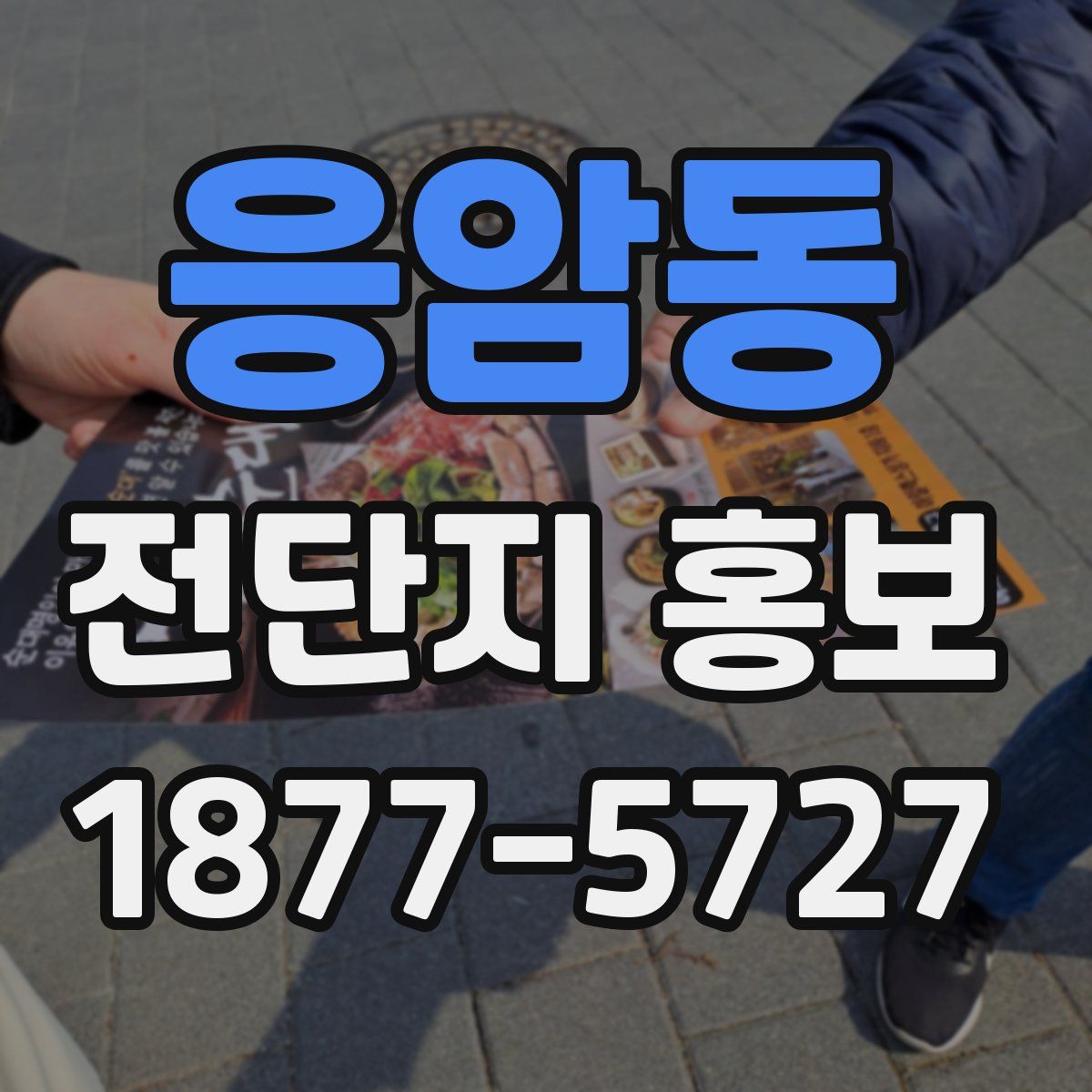 응암동 전단지 홍보