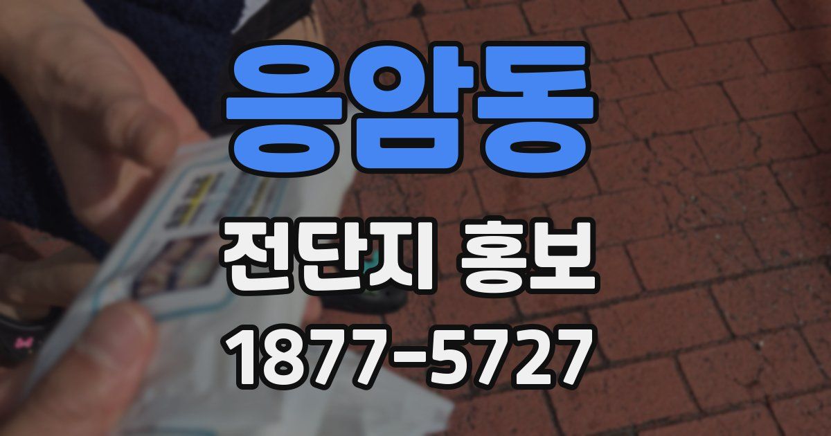 응암동 전단지 홍보