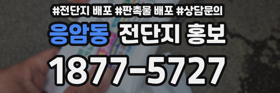 응암동 전단지 홍보