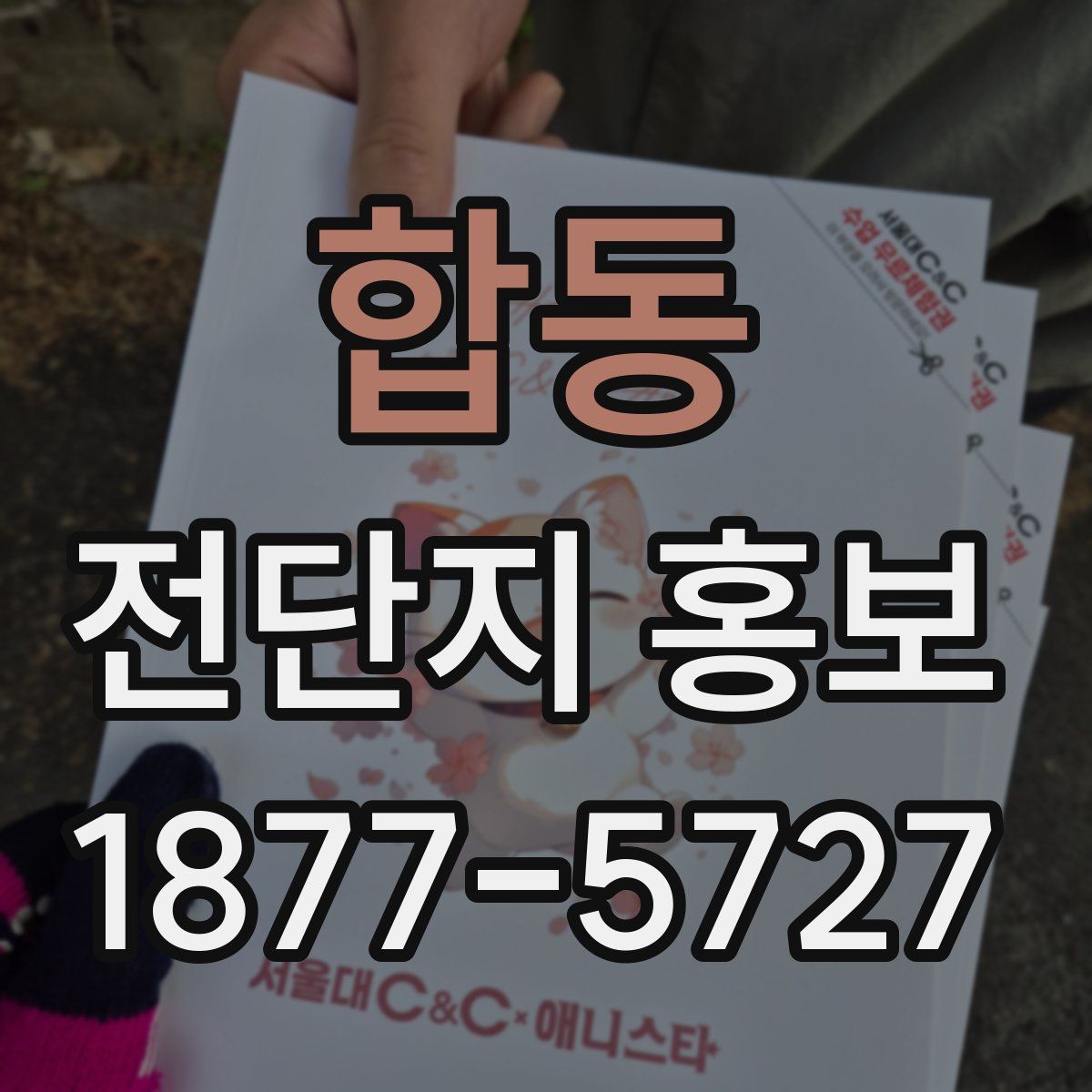 합동 전단지 홍보