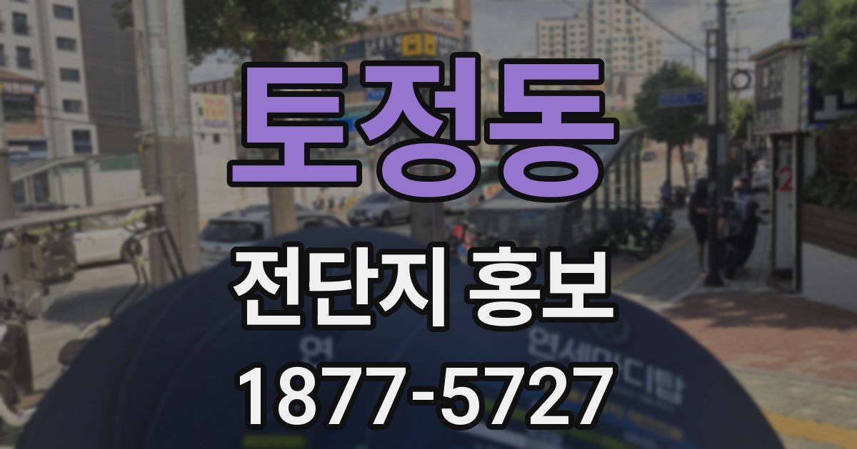 토정동 전단지 홍보