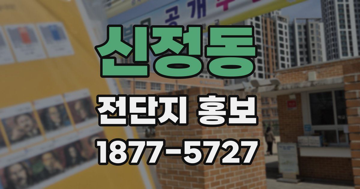 신정동 전단지 홍보