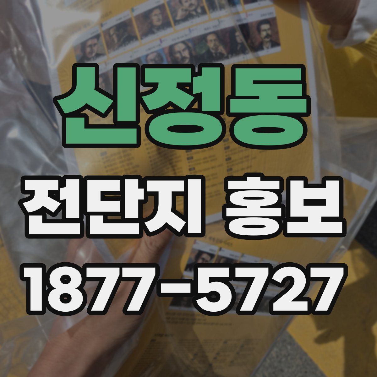신정동 전단지 홍보