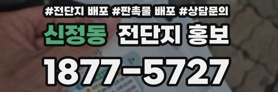 신정동 전단지 홍보