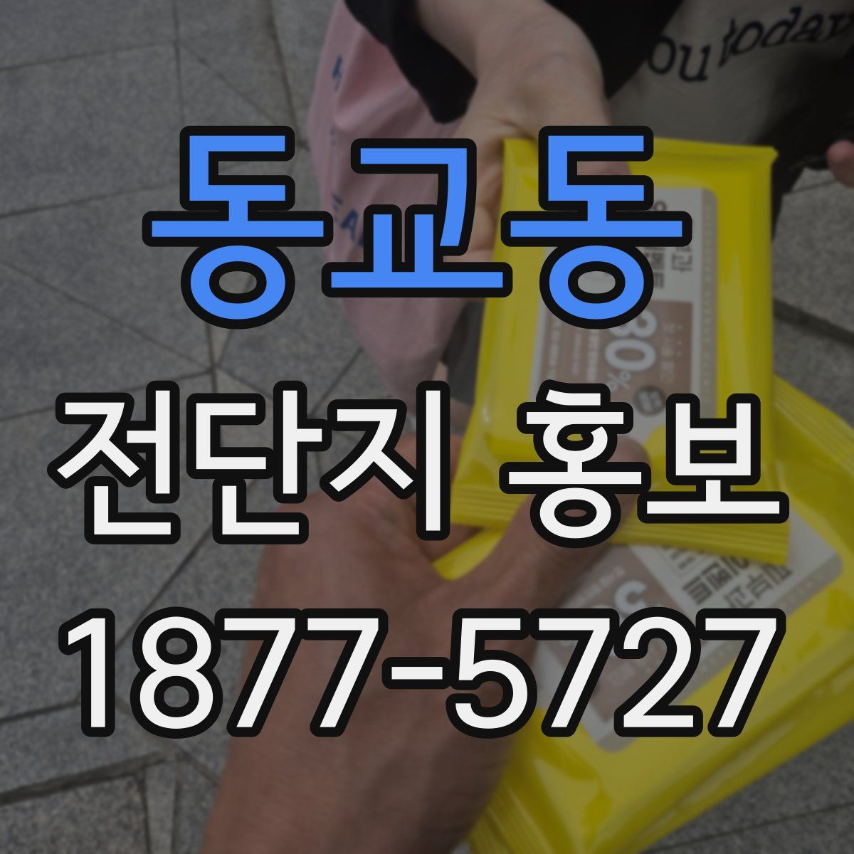 동교동 전단지 홍보
