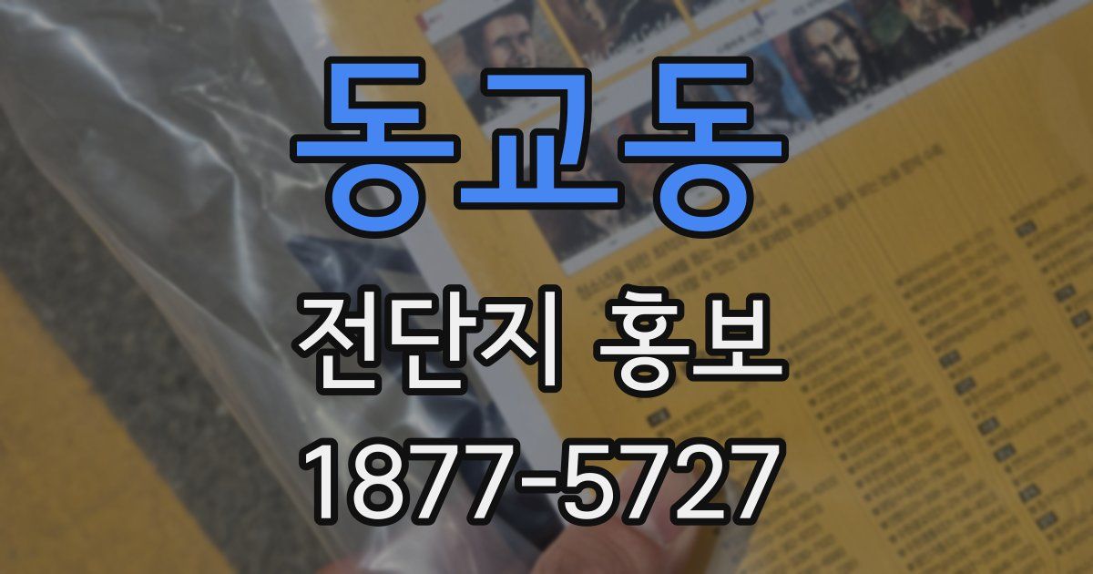 동교동 전단지 홍보