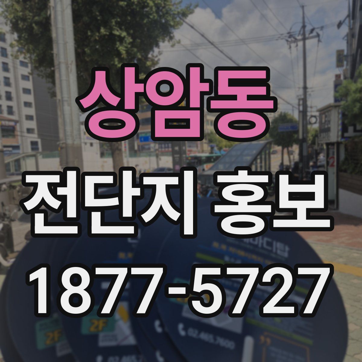 상암동 전단지 홍보