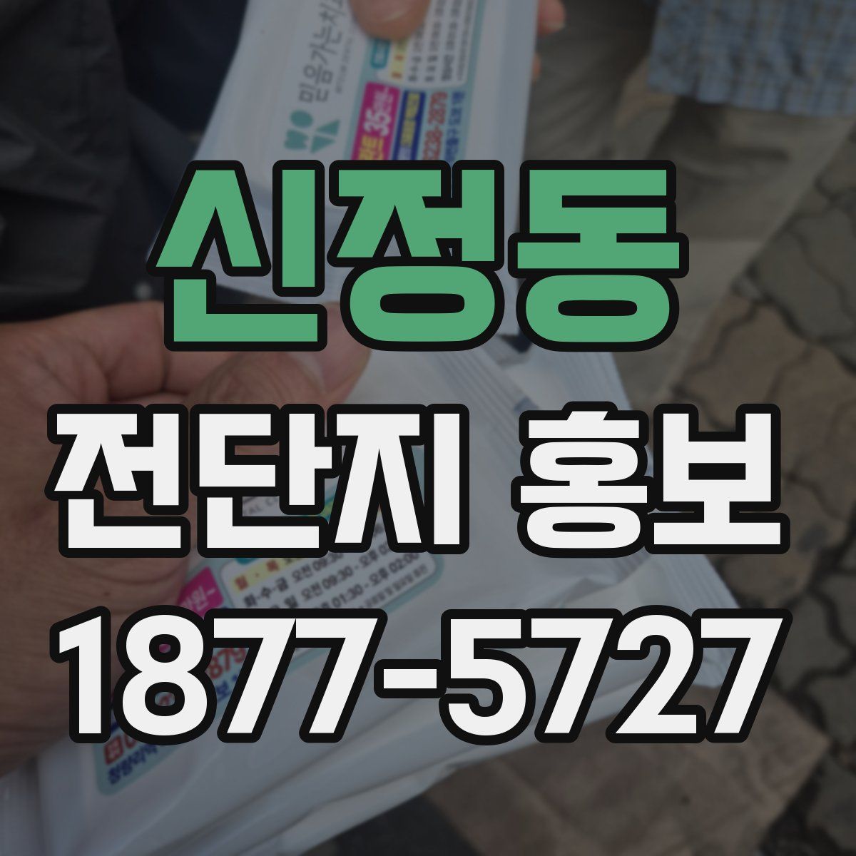 신정동 전단지 홍보