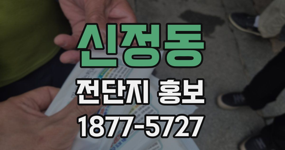 신정동 전단지 홍보