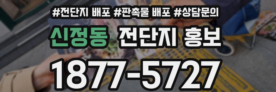 신정동 전단지 홍보