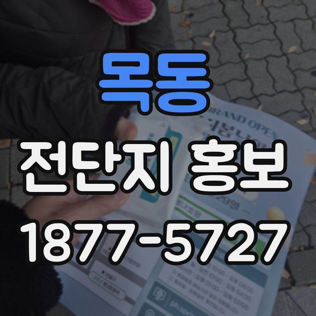 목동 전단지 홍보