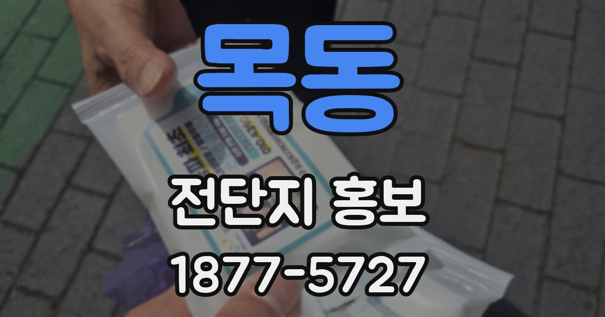 목동 전단지 홍보