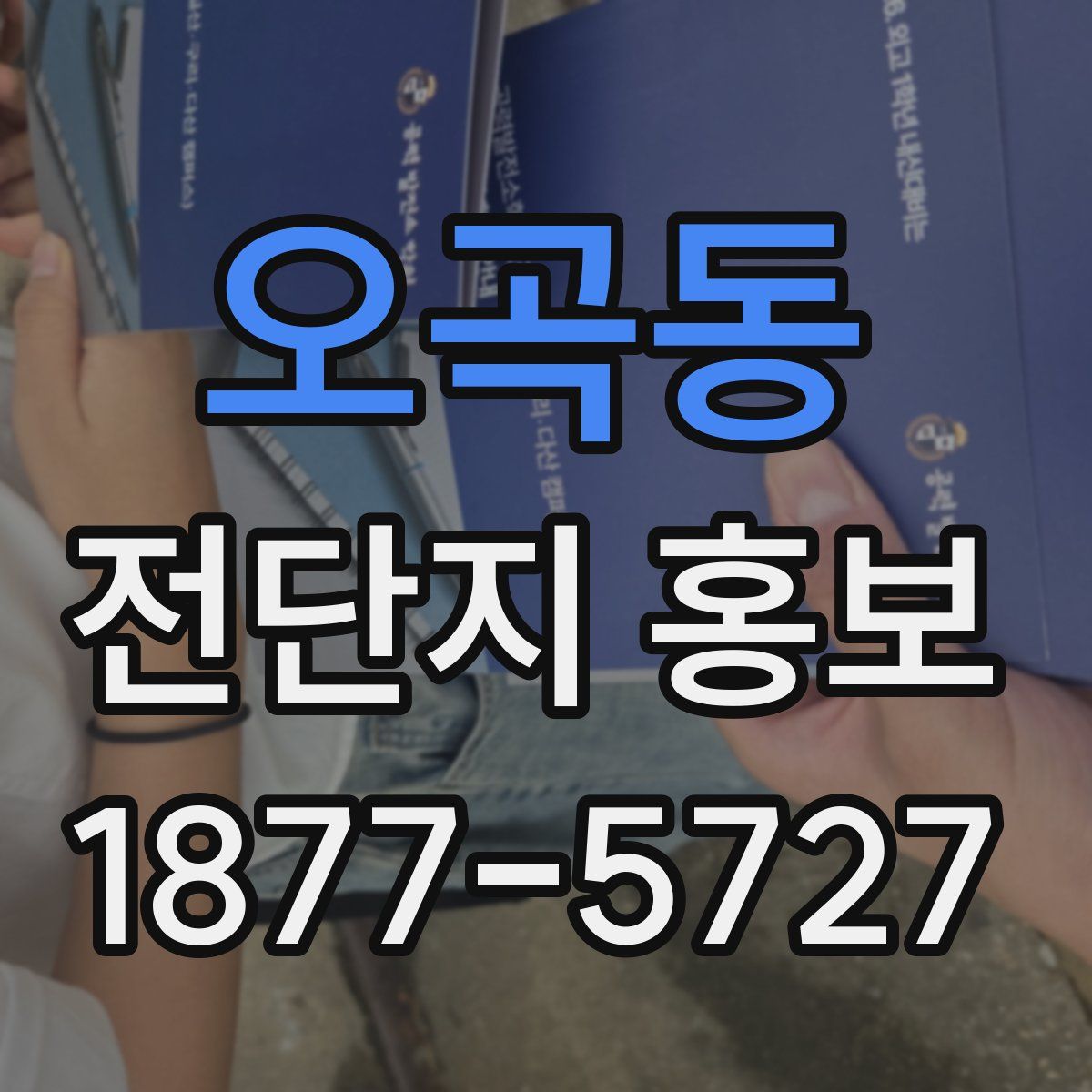 오곡동 전단지 홍보