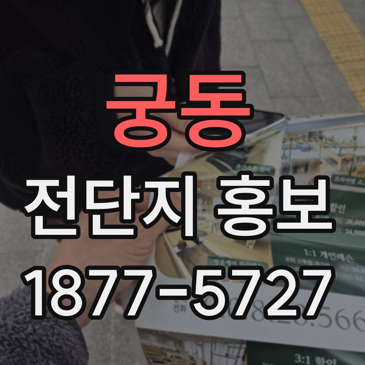 궁동 전단지 홍보