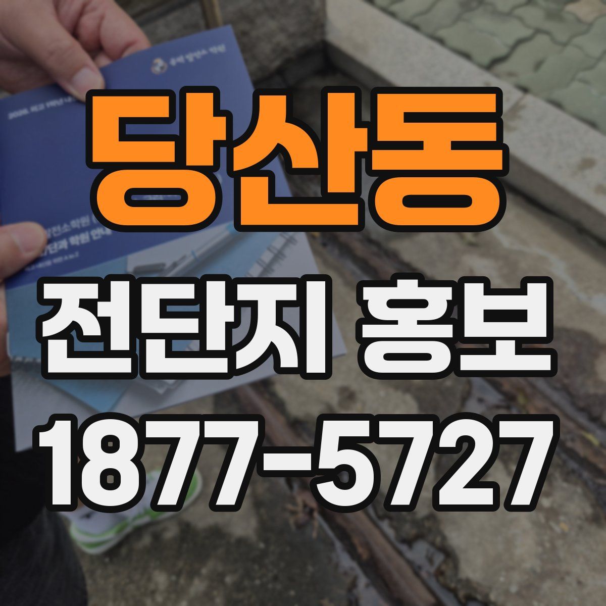 당산동 전단지 홍보