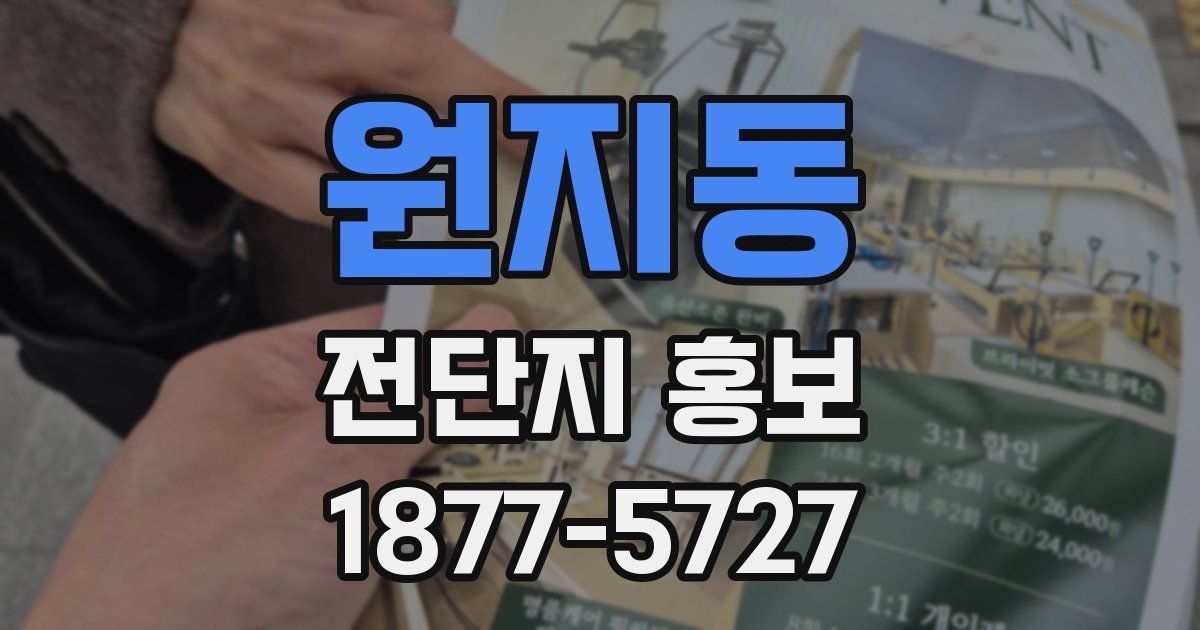 원지동 전단지 홍보