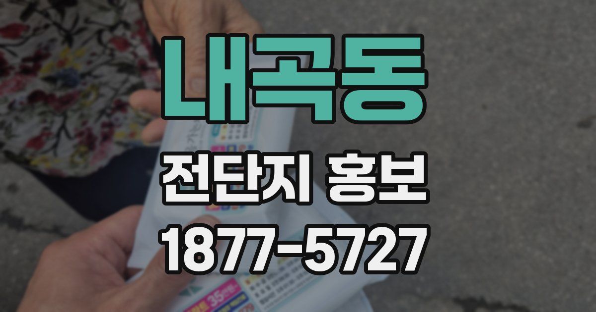 내곡동 전단지 홍보