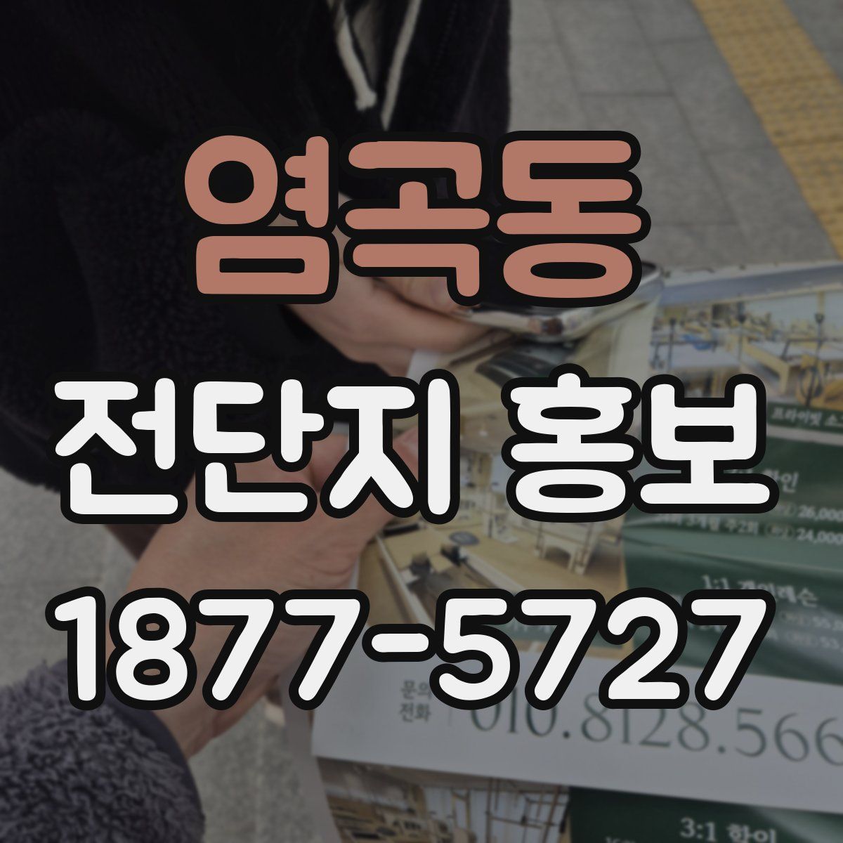 염곡동 전단지 홍보