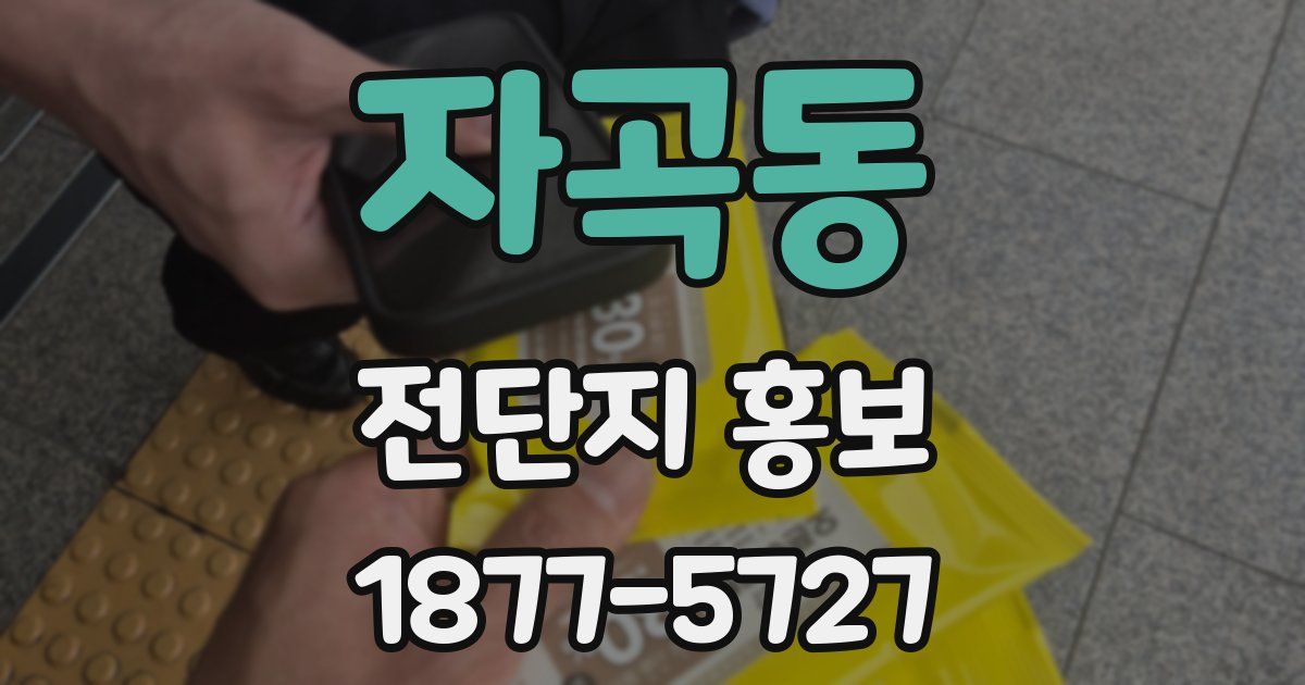 자곡동 전단지 홍보