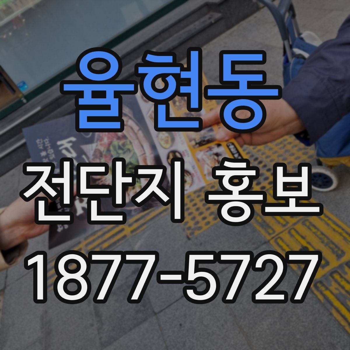 율현동 전단지 홍보