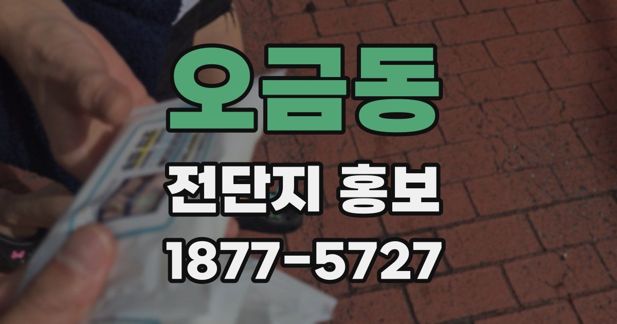 오금동 전단지 홍보