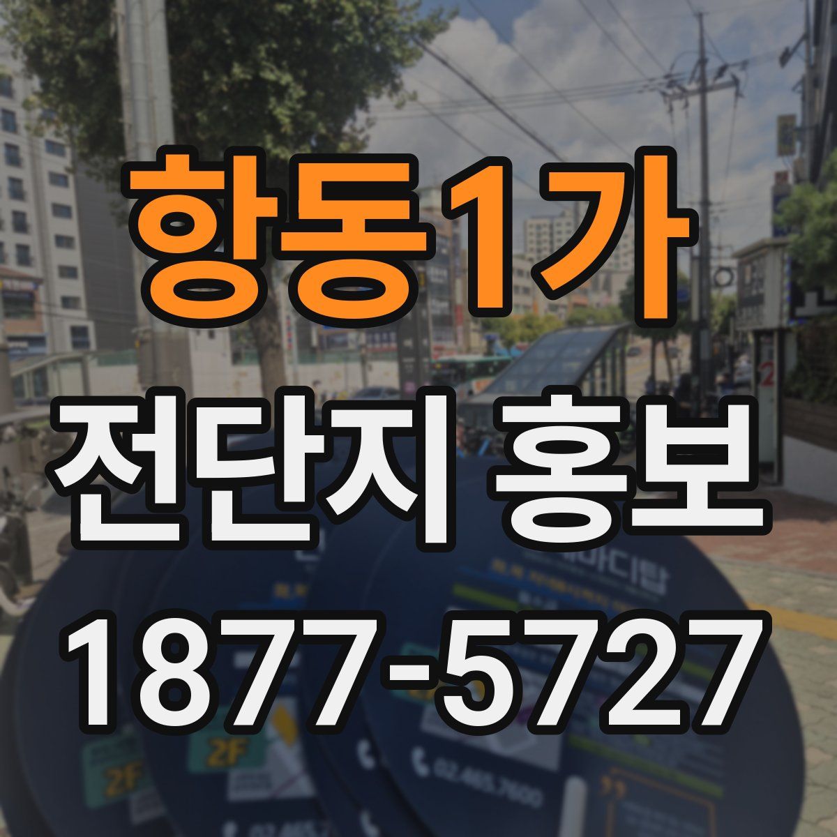 항동1가 전단지 홍보