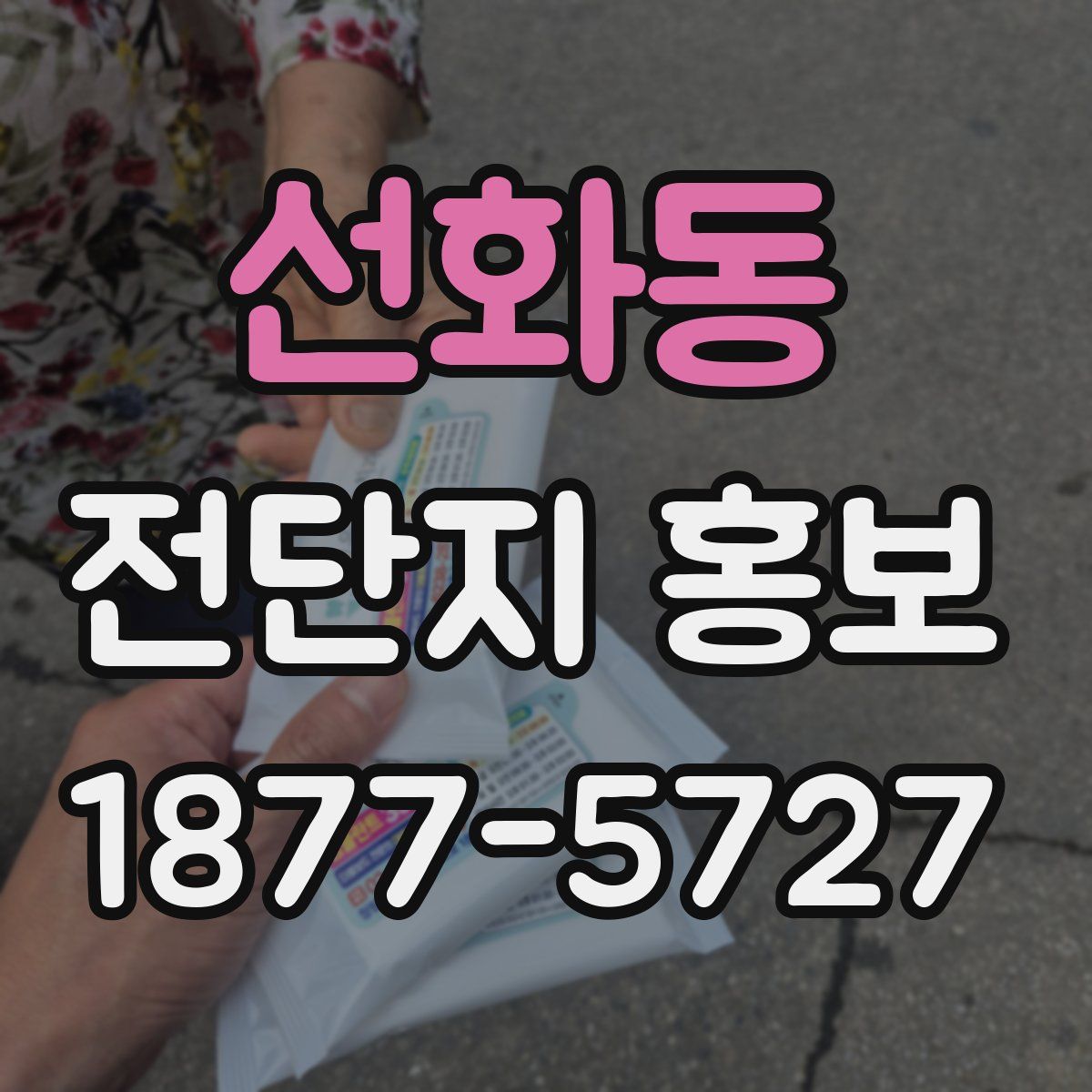 선화동 전단지 홍보