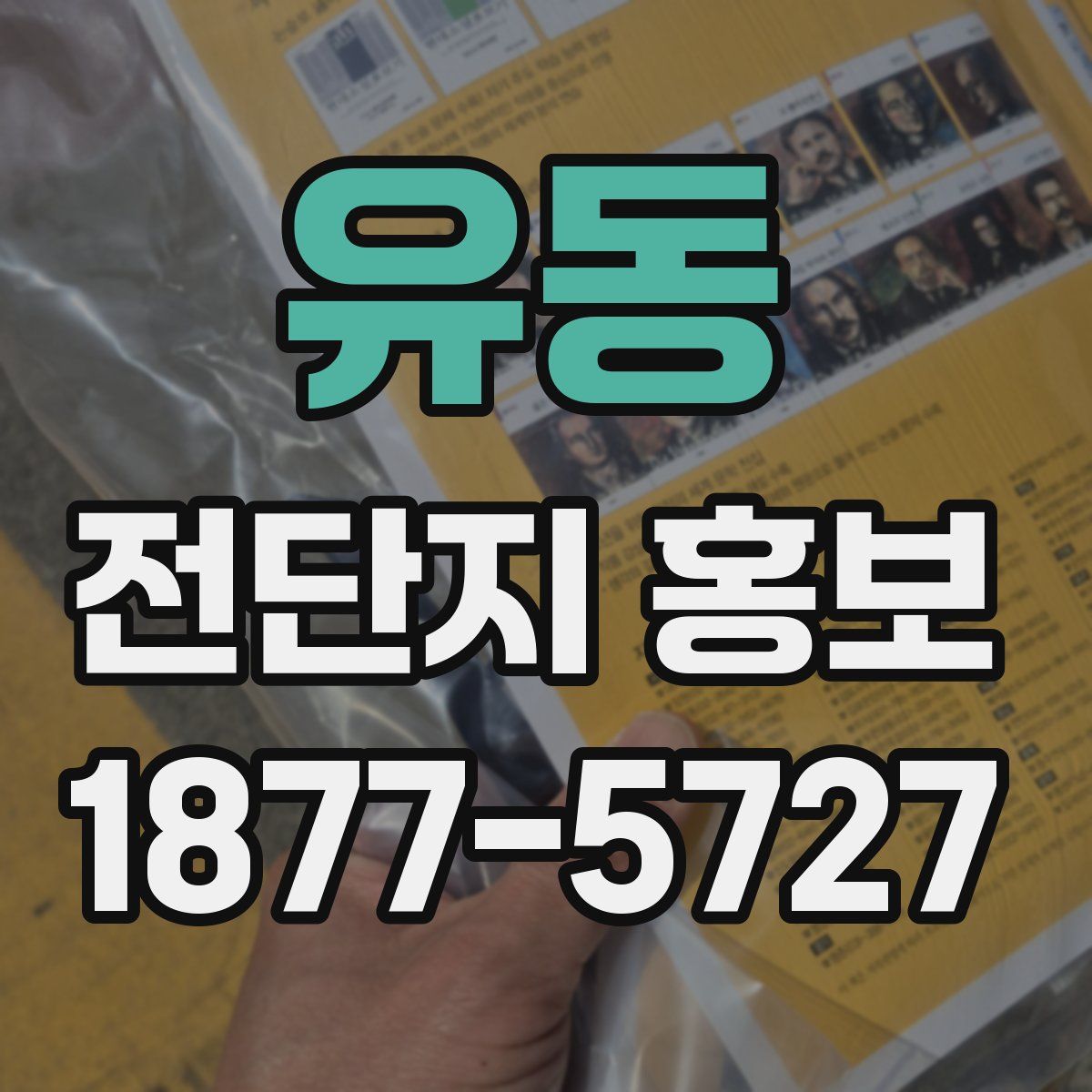 유동 전단지 홍보
