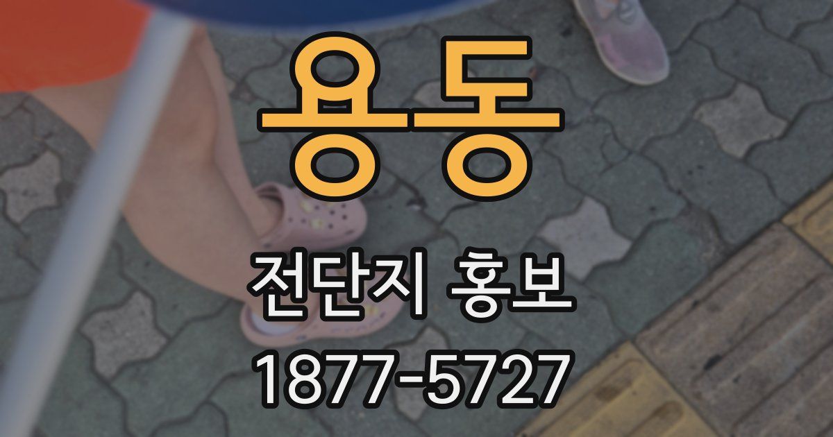 용동 전단지 홍보