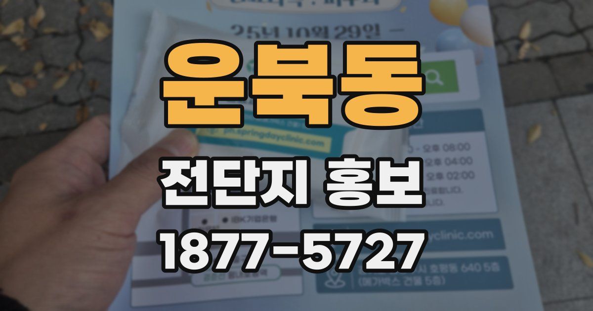 운북동 전단지 홍보