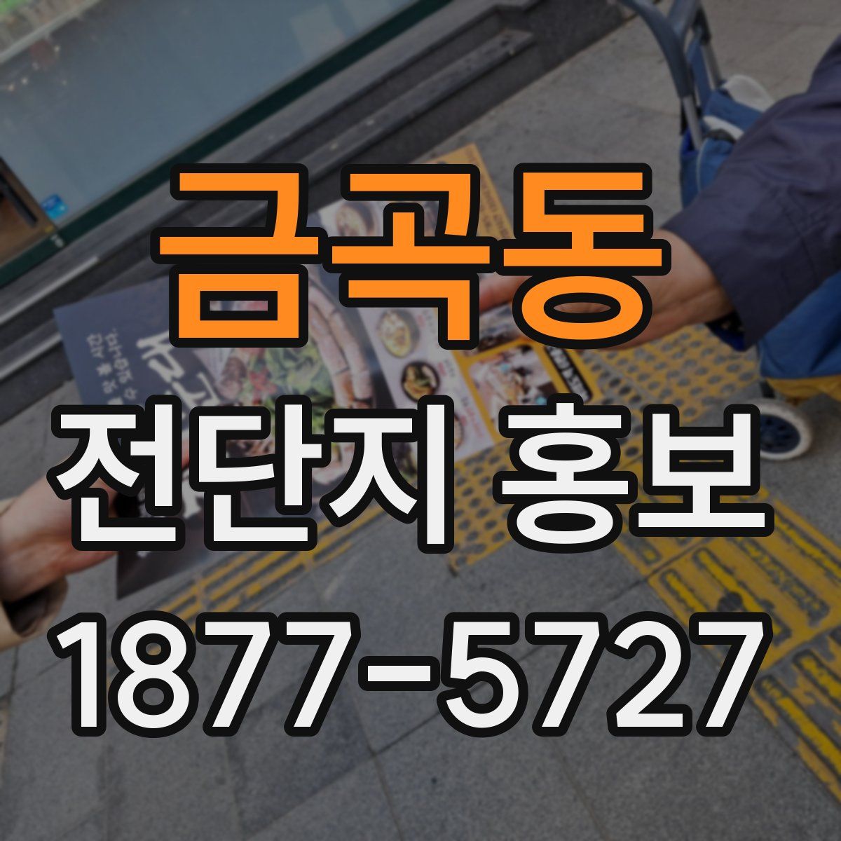 금곡동 전단지 홍보