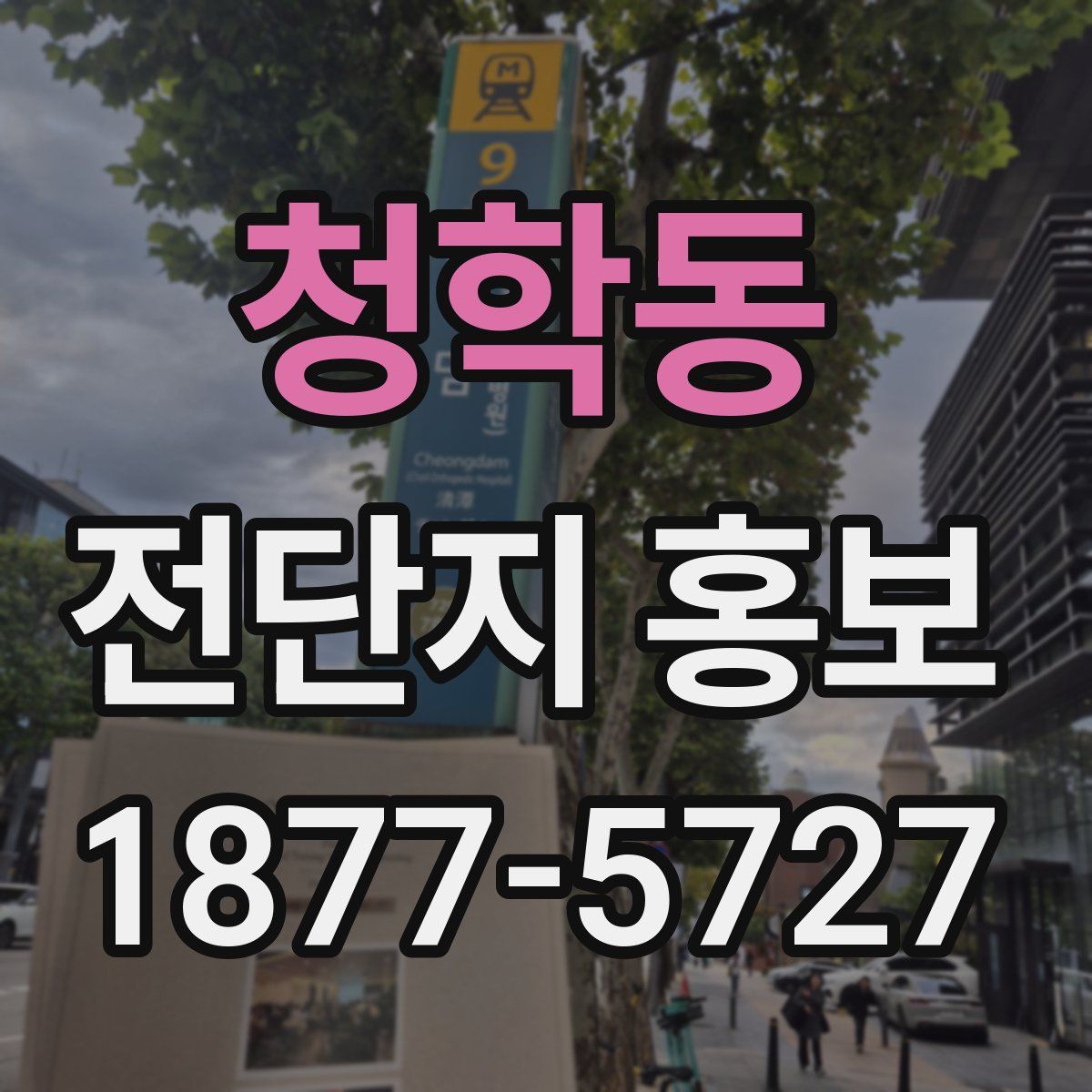 청학동 전단지 홍보