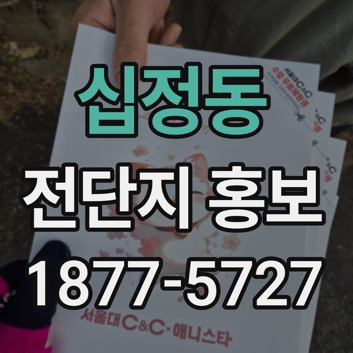 십정동 전단지 홍보
