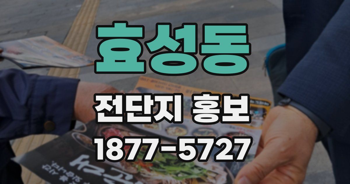 효성동 전단지 홍보