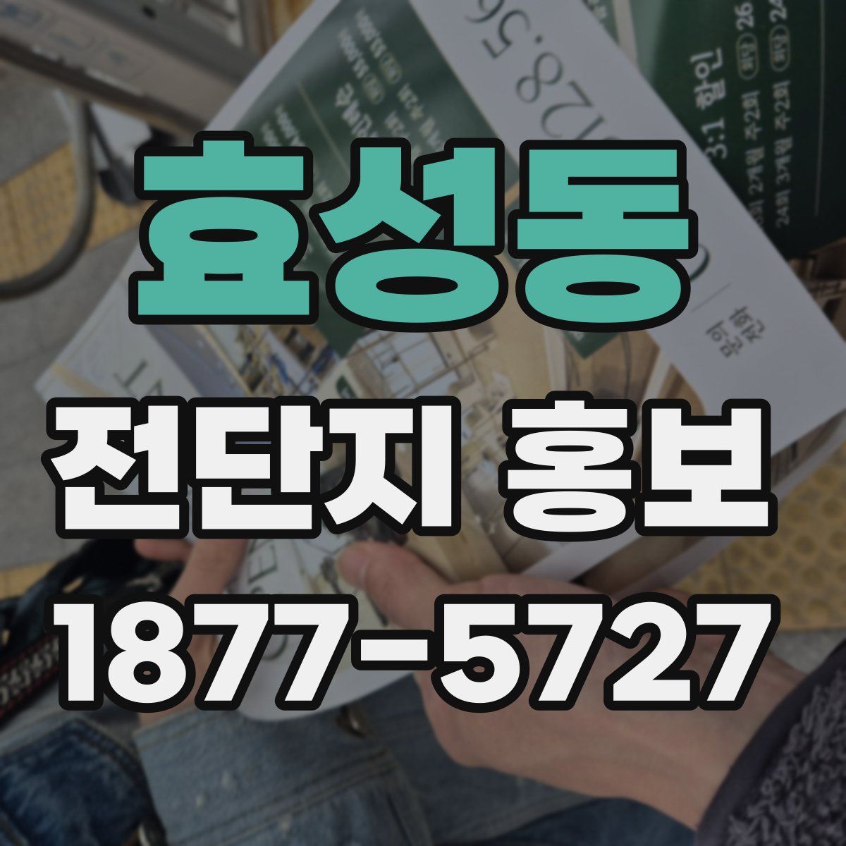 효성동 전단지 홍보
