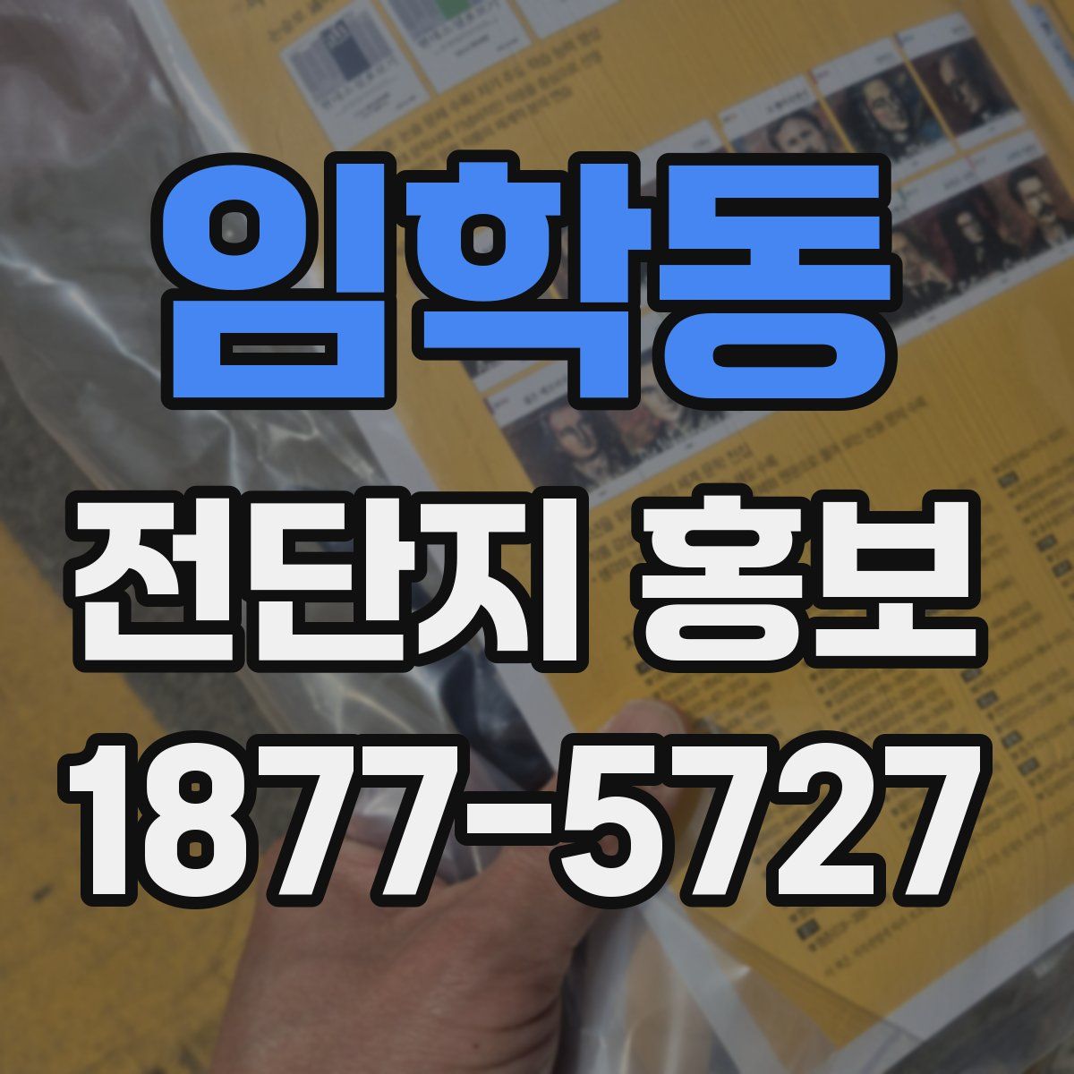 임학동 전단지 홍보