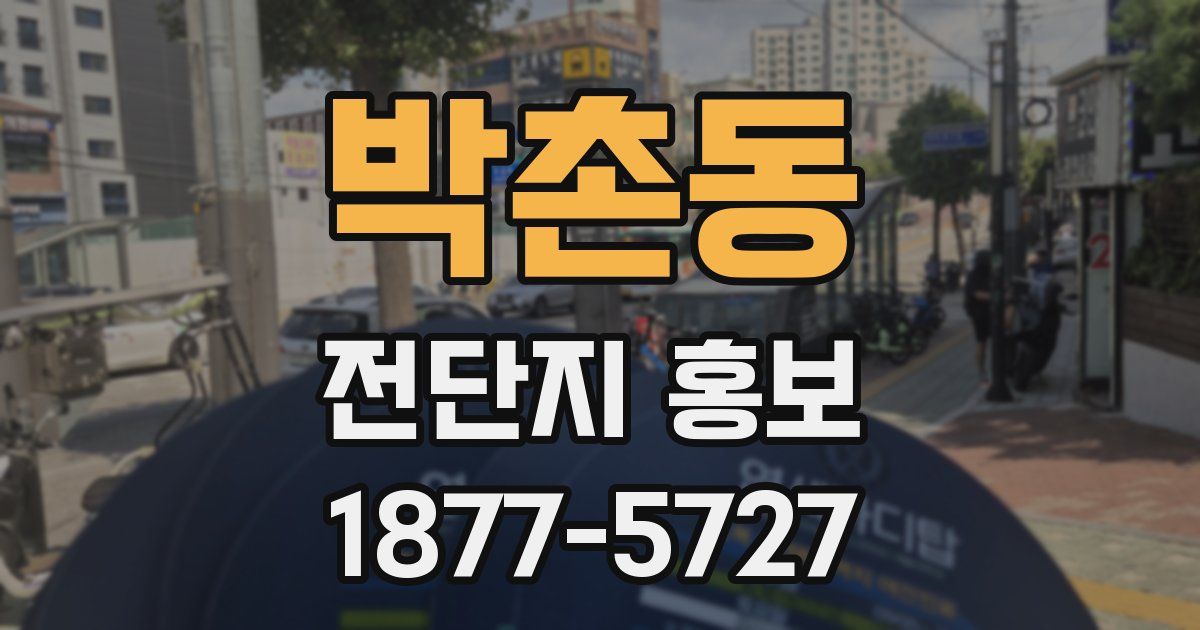 박촌동 전단지 홍보