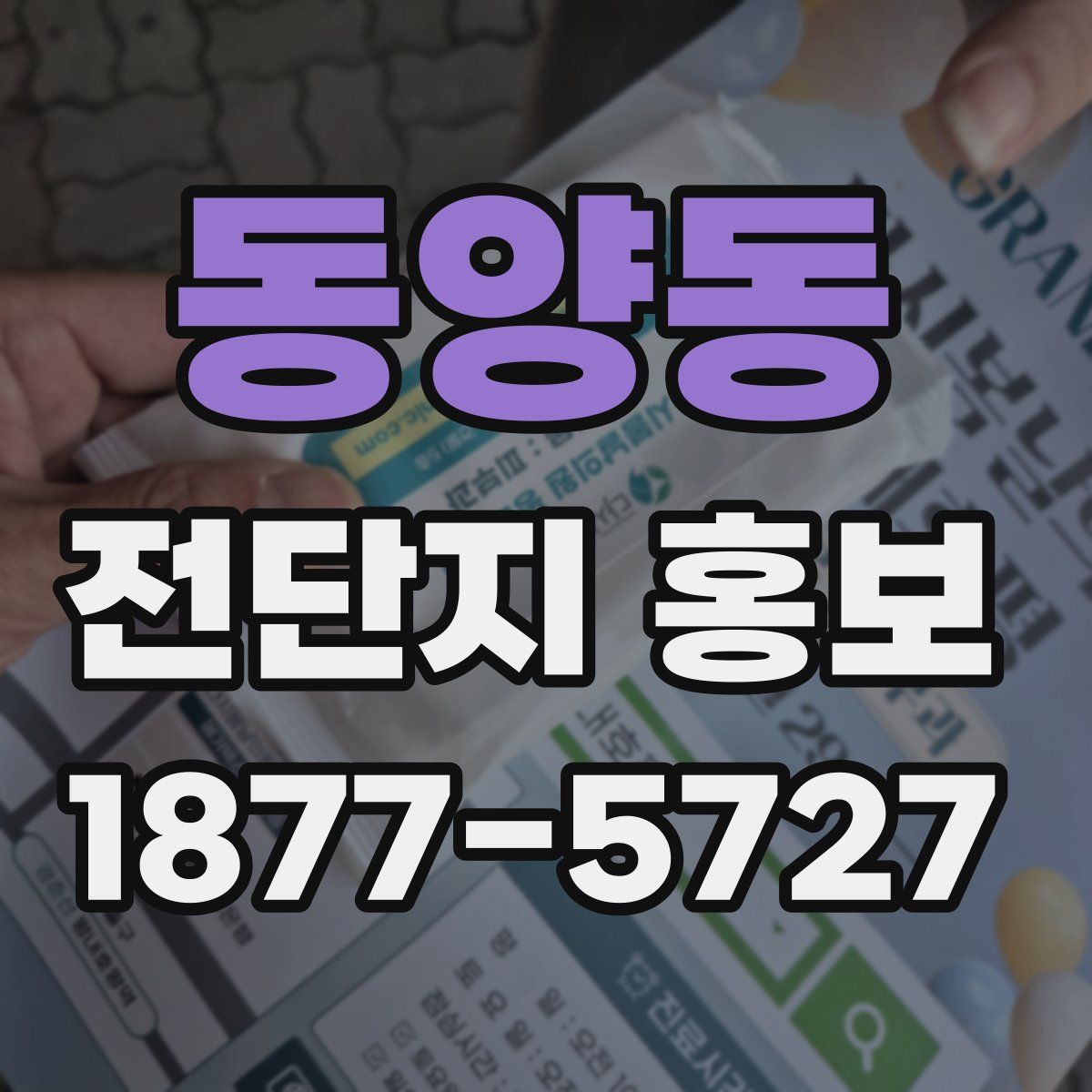 동양동 전단지 홍보