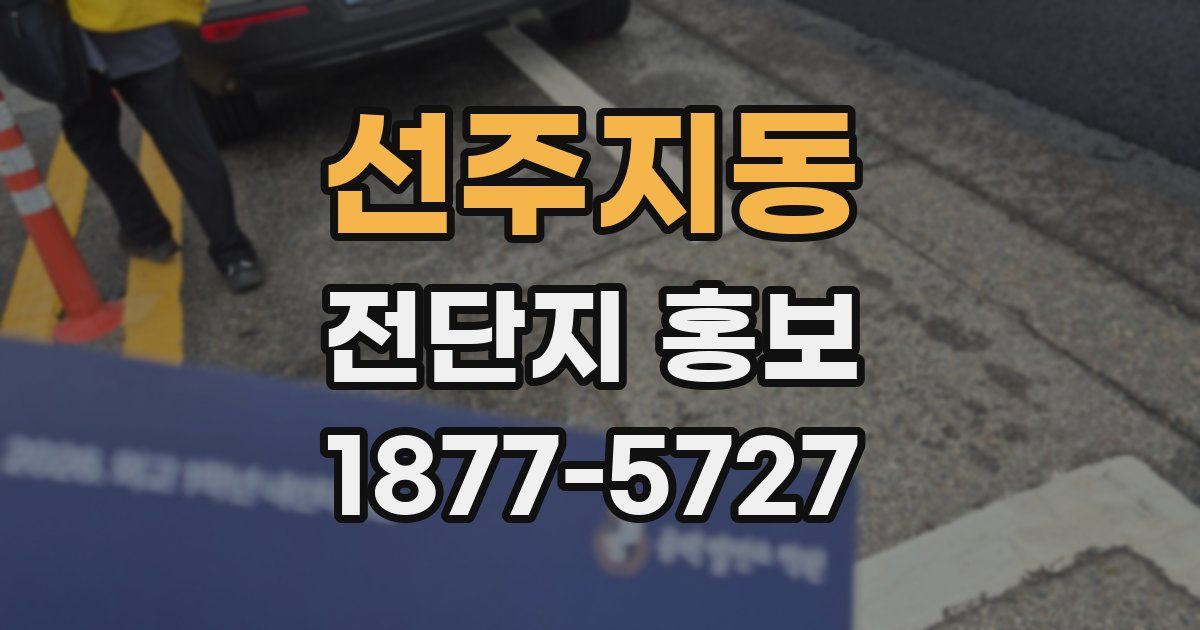 선주지동 전단지 홍보