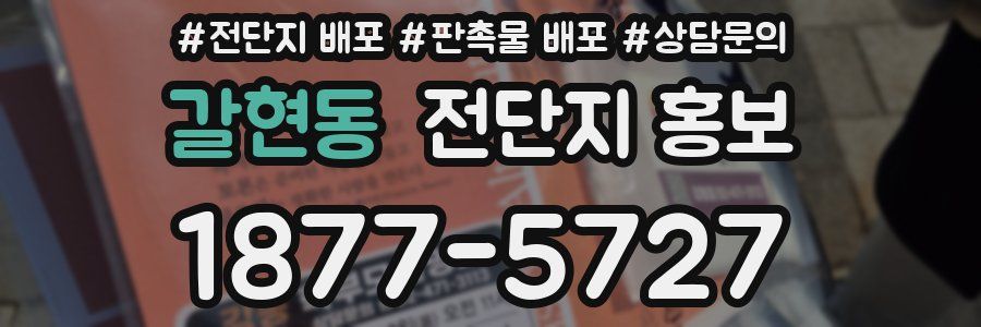 갈현동 전단지 홍보