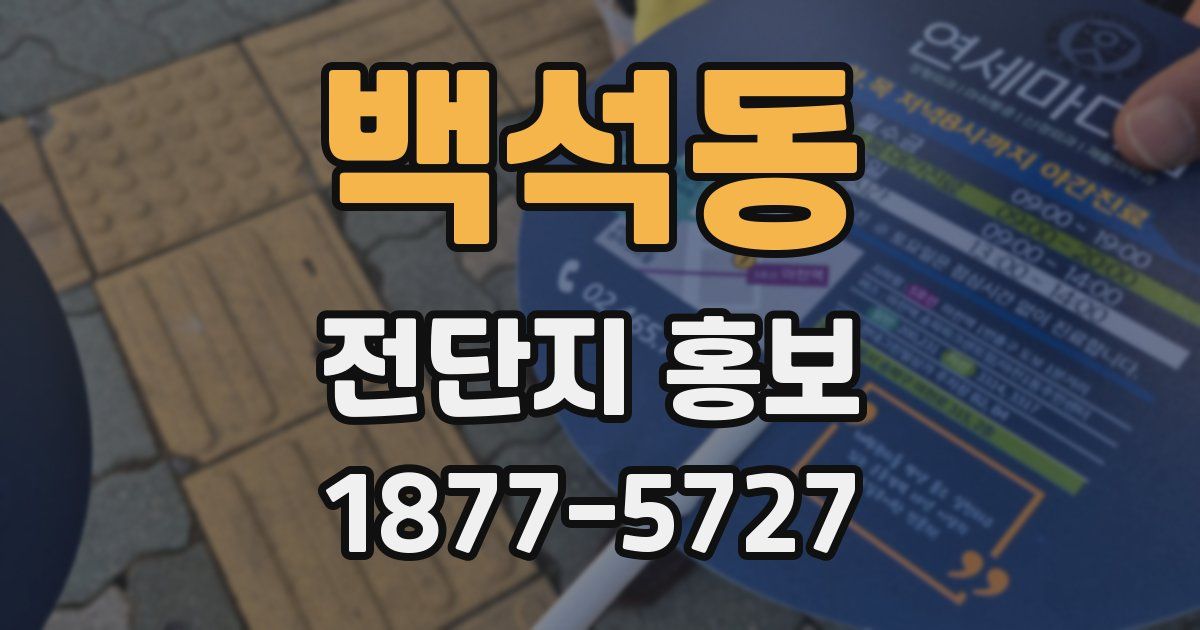 백석동 전단지 홍보