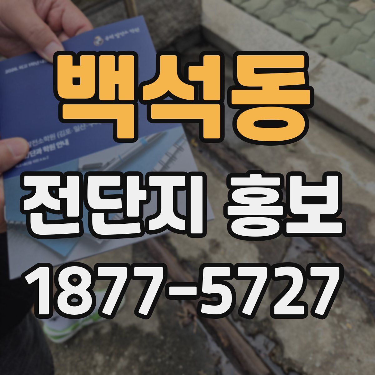 백석동 전단지 홍보