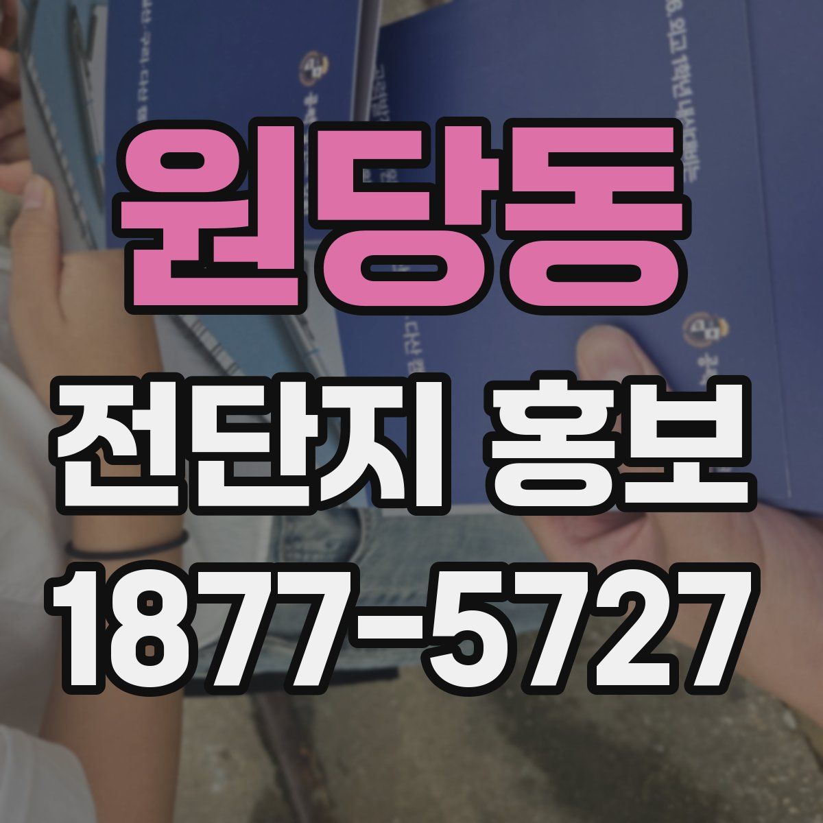 원당동 전단지 홍보