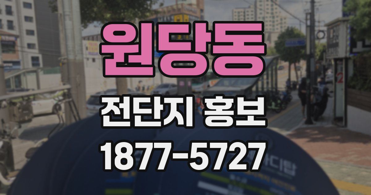 원당동 전단지 홍보