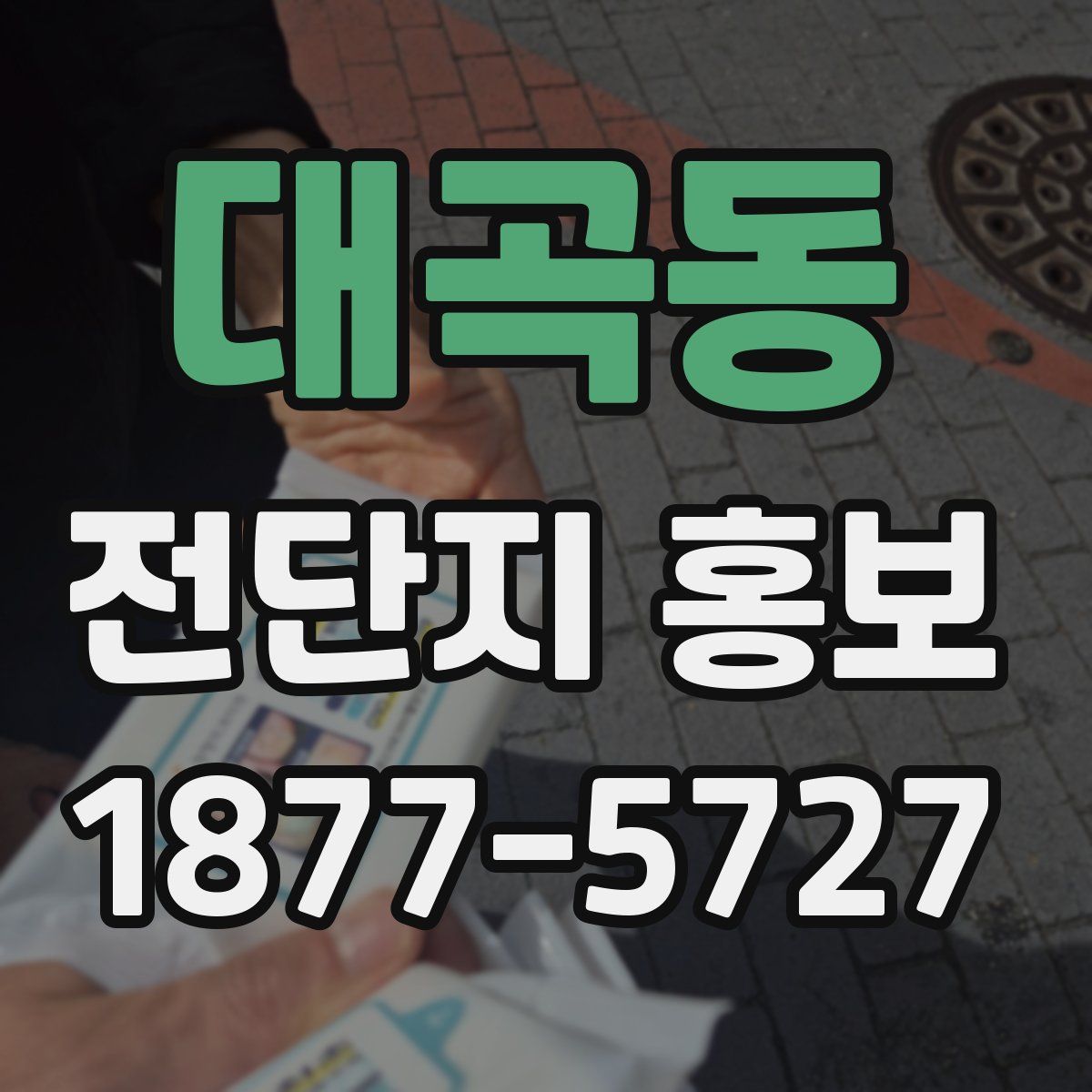 대곡동 전단지 홍보