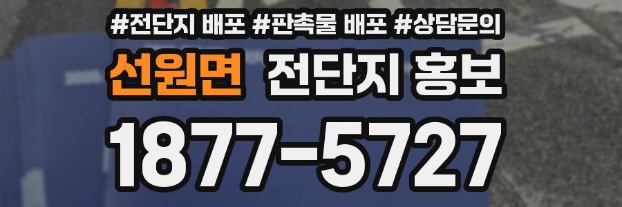 선원면 전단지 홍보